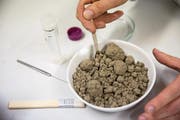 Eine mit Glyphosat belastete Erdprobe wird im Labor untersucht. (Bild: Christian Charisius/Keystone (Rostock, 1. August 2017))