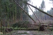 Im Rainmatterwald versperrt das Sturmholz die Strasse. (Bild: PD)