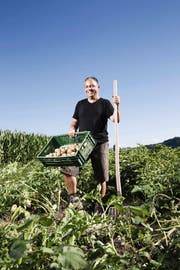 Die Kartoffelernte 2013 wird gut, sagt Landwirt Meinrad Pfister aus Altishofen, hier auf einem seiner Felder bei einer Probe. (Bild Manuela Jans)