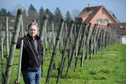 Toni Ottiger vom Weingut Rosenau möchte ein neues Betriebsgebäude bauen. Nun Macht ihm ein Gerichtsurteil einen Strich durch die Rechnung.