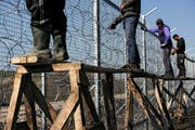 Arbeiter bringen am Grenzzaun zwischen Bulgarien und der Türkei Stacheldraht an. Der Zaun soll bis Ende Jahr 160 Kilometer lang sein. (Bild: AFP/Dimitar Dilkoff)
