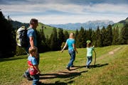 Eine Familie beim Wanderausflug - im Hintergrund thront der Pilatus über den Wäldern. (Bild: Roger Grütter / Neue LZ)