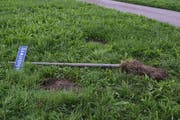 Der Rankhubelweg im Visier von Vandalen. (Bild: Luzerner Polizei)