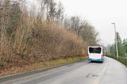 Der Bereich des künftigen Tunnelportals an der Friedentalstrasse. (Bild: Roger Grütter (27. Januar 2018))