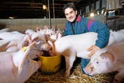 Landwirt Martin Wandeler (48) aus Gunzwil setzt auf seinem Hof auf Bier. (Bild Boris Bürgisser)