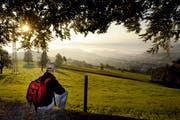 Sonnenaufgang auf dem Sonnenberg. (Bild: Pisu Amrein / Archiv Neue LZ)