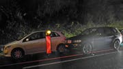 Ein Teil der verunfallten Fahrzeuge. (Bild: Kantonspolizei Schwyz)
