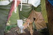 Die WC-Schüssel mitten in der Natur auf dem Zugerberg wird auch von Pfadern genutzt. (Bild: Hans Ryan/Maria Schmid (Zugerberg, 12. Juli 2017))
