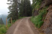 Der Panoramaweg ist saniert worden. (Bild: PD)