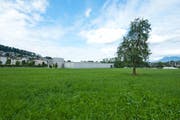 Hier auf der Wiese südwestlich des Gefängnis Grosshof soll ein Asylzentrum mit 120 Plätze entstehen. (Bild Dominik Wunderli)