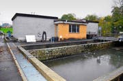 Das Schwyzer Verwaltungsgericht beerdigte den Neubau der Sattler Kläranlage. Der Gemeinde bleiben nur ein Anschluss an ein bestehendes Netz. (Bild Bert Schnüriger)