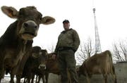 Die Kühe beim Landessender geben wieder ohne Antibiotika Milch. (Bild Eveline Bachmann/Neue LZ)