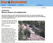 Ausschnitt aus dem Bericht des Urner Wochenblatts. (Bild: UW)