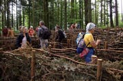 Der Luzerner Klimaweg enthält das grösste Holzlabyrinth der Zentralschweiz. Es steht auf dem Sonnenberg. (Bild: PD)