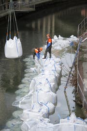 Die Lorze ist 5 Grad kalt und die Säcke eineinhalb Tonnen schwer. (Bild: Maria Schmid)