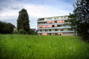 Auf dieser Wiese, die an das bestehende Alterszentrum grenzt, soll der Erweiterungsbau zu stehen kommen. (Archivbild Pius Amrein)