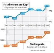 Bild: Grafik Neue LZ