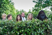Die sechs Apostel (von links): Xenia «l’Allemande» (Anna Tenta), Marc (Serge Larivière), Aurélie (Laura Verlinden), François (François Damiens), Martine (Catherine Deneuve) und der Gorilla aus dem Zirkus. (Bild: PD)