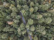 Der Kanton Luzern (auf dem Bild der Säliwald in Ruswil) ist gewachsen. (Bild: Pius Amrein (Ruswil, 23. Oktober 2017))