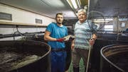 Kurt Bigler und sein Vater Werner in der Fischmastanlage in einer umfunktionierten Hühnerhalle. (Bild: Dominik Wunderli (Malters, 4. April 2017))