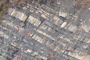 Im Pilatus-Schlierengebiet auf Alpnacherseite tritt verbreitet Flyschsandstein auf. (Bild: zvg)