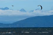 Der Kanton hält am Verbot von Kitesurfen auf Luzerner Gewässern fest. (Bild: Keystone)
