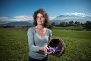 SVP-Kantonsrätin Barbara Lang muss um ihren Bauernhof fürchten. (Bild: Dominik Wunderli (Hellbühl, 24. Oktober 2013))