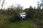 Der Fahrer des Wagens blieb bei diesem Unfall auf der Apfelplantage unverletzt. (Bild: Luzerner Polizei)