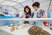 Maria Betschart und Priska Häusler aus Unterägeri betrachten vom Zoll beschlagnahmte Objekte.Bild: Stefan Kaiser (Zug, 28. Oktober 2016)