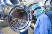 Ein Mitarbeitender überwacht die Vorgänge im Reinraumbereich vom Dätwyler Konzernbereich Pharma Packaging. Pharma Packaging ist Teil des Konzernbereichs Sealing Solutions. (Bild: pd)