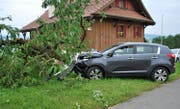 Der Baum wurde durch die Wucht des Aufpralls gefällt. (Bild: Luzenrer Polizei)