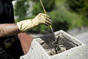 Ein Kaminfeger bei der Arbeit. (Bild: Ennio Leanza / Keystone (Auenstein, 26. Juni 2012))