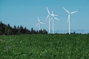 4 der insgesamt 16 Turbinen, die im grössten Windpark der Schweiz auf dem Mont Crosin stehen. (Bild: Jean-Christophe Bott/Keystone (Col du Mont-Crosin, 3. August 2016))
