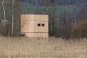 Der neue Beobachtungsturm der Vogelwarte im Wauwilermoos. (Bild PD/Niklaus Zbinden)