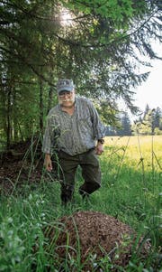 René Felder (62) bei einem Ameisenhaufen am Schwendelberg. (Bild: Nadia Schärli (Horw, 29. Mai 2017))