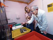 Museumsfotograf Res Eichenberger zeigt Besuchern einen Teil seiner Arbeit. (Bild: Werner Schelbert (Zug, 13. Dezember 2017))