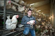 Testet seit einem Jahr Dualhühner. David Bründler in seinem Stall auf dem Rooterberg. (Bild: Dominik Wunderli / Neue LZ)