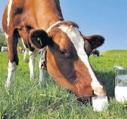 Eine Kuh auf der Weide mit einem Glas Milch (Symbolbild). (Bild: pd)
