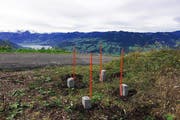 Das besetzte Land liegt im Kanton Obwalden auf dem Aecherlipass bei Kerns und ist ein Quadratmeter gross. (Bild: zvg)