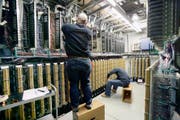 Zwei Informatiker in einem Computerraum bei der Arbeit. (Symbolbild Keystone)