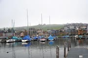Der Bootshafen in Küssnacht. (Bild: Erhard Gick / Neue SZ)