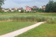 Dieser Weg wird rückgebaut. Der Weg um den Rotsee führt neu um das Moor herum. (Bild: PD)