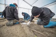 Archäologen sichern in Schötz Spuren der früheren Kapelle St. Johannes samt Friedhof. (Bild: Pius Amrein / LZ (Schötz, 13. Dezember 2017))