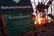 Das Landschaftsschutzgebiet im Choller in Zug. (Archivbild Werner Schelbert/Neue ZZ)