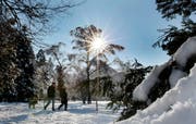 Spaziergang in winterlicher Landschaft. (Bild EQ Images)