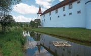 Bepflanzte Holzkonstrukte sollen die wuchernden Algen im Schlossweiher eindämmen. (Bild: Nadia Schärli (Ettiswil, 3. Juli 2017))