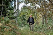 Der Nottelerwald ist für den obersten Luzerner Förster, Bruno Röösli (46), der Wald der Zukunft. Bild: Pius Amrein (Nottwil, 12 Oktober 2016)