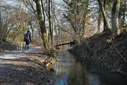 Die Alte Lorze im Bereich Schochenmühle. (Bild: Stefan Kaiser (28. Februar 2018))
