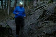 Joggen zu später Stunde kann zum Problem fürs Wild werden. Gerade im Schattdorfer Bannwald (Bild) sind auch nachts Sportler unterwegs. (Bild: Anian Heierli / Neue UZ)