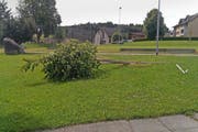 Diesen Baum beim Schulhaus Dorf haben die Täter mutwillig umgeknickt. (Bild: pd)